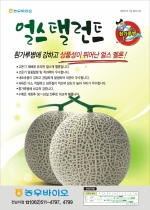 �����̿�