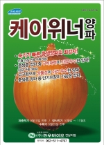 �����̿�