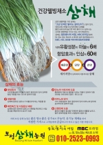 ������ä���